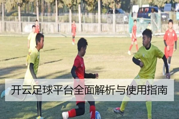 开云足球平台全面解析与使用指南