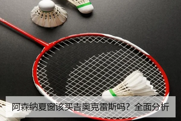 阿森纳夏窗该买吉奥克雷斯吗？全面分析