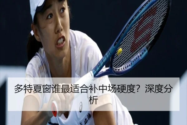 多特夏窗谁最适合补中场硬度？深度分析